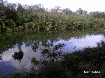 River view 2